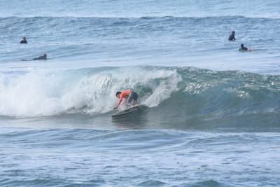 DSC_7945.JPG