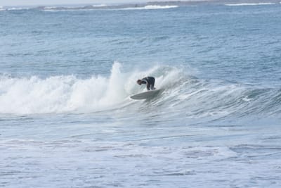 DSC_7946.JPG