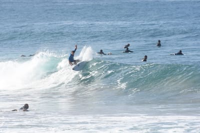 DSC_7949.JPG