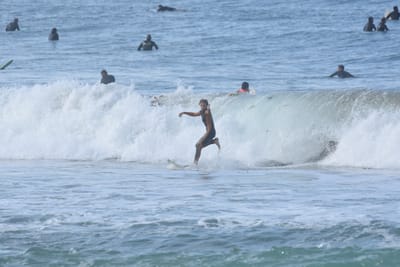 DSC_7951.JPG