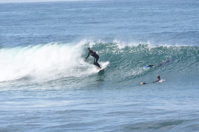 DSC_7952.JPG