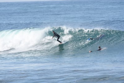 DSC_7953.JPG