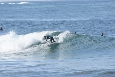 DSC_7954.JPG
