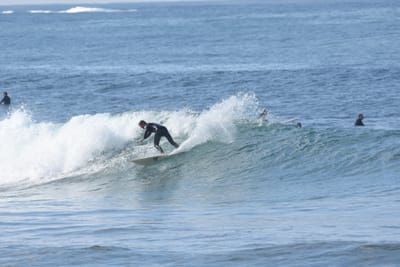DSC_7955.JPG