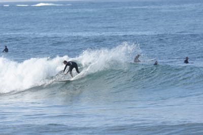DSC_7956.JPG