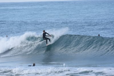 DSC_7957.JPG