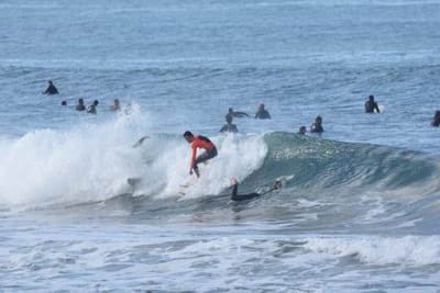 DSC_7958.JPG