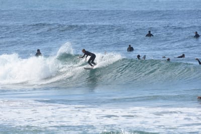 DSC_7959.JPG