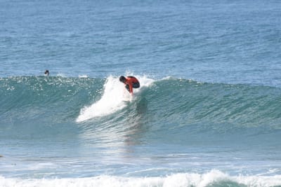 DSC_7961.JPG