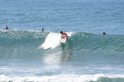 DSC_7962.JPG