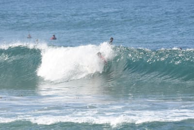 DSC_7964.JPG