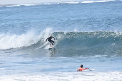 DSC_7965.JPG