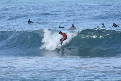 DSC_7966.JPG