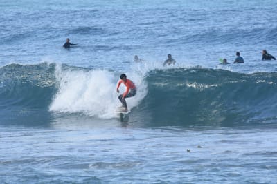 DSC_7967.JPG