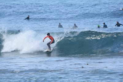 DSC_7968.JPG