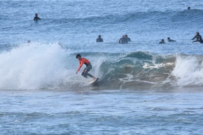 DSC_7970.JPG