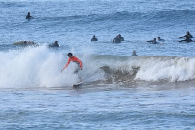 DSC_7971.JPG