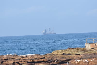 DSC_7978.JPG