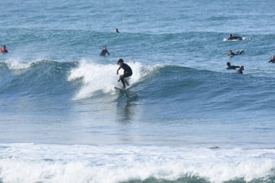 DSC_7980.JPG