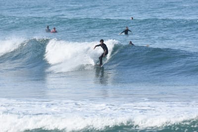 DSC_7981.JPG