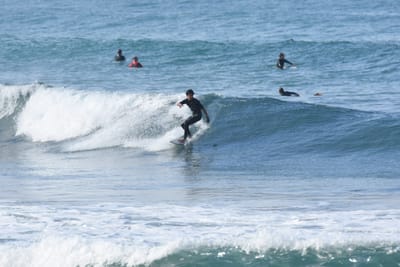 DSC_7982.JPG