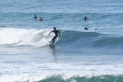 DSC_7983.JPG