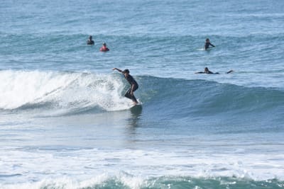 DSC_7985.JPG