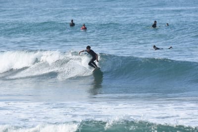 DSC_7988.JPG