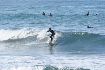 DSC_7989.JPG