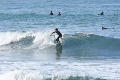 DSC_7990.JPG