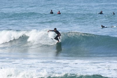 DSC_7991.JPG