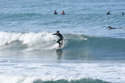 DSC_7992.JPG