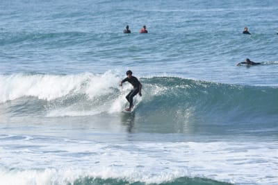 DSC_7993.JPG