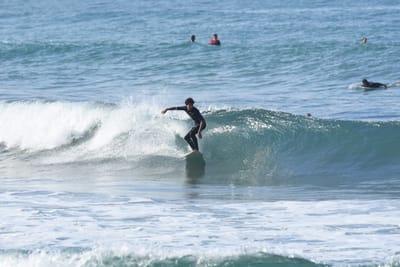 DSC_7994.JPG