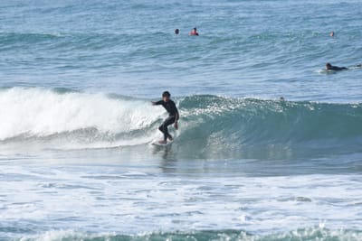 DSC_7995.JPG