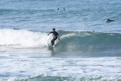 DSC_7996.JPG