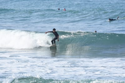 DSC_7997.JPG