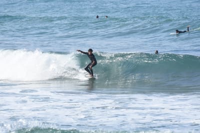 DSC_7998.JPG