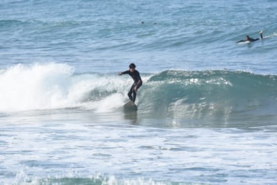 DSC_7999.JPG