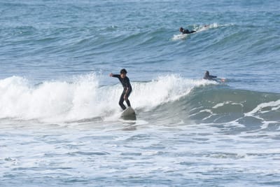 DSC_8002.JPG