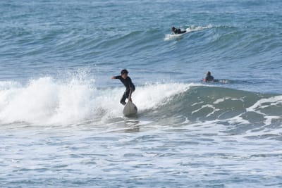 DSC_8003.JPG
