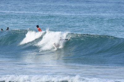 DSC_8017.JPG