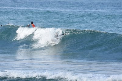 DSC_8018.JPG
