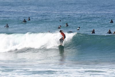 DSC_8023.JPG