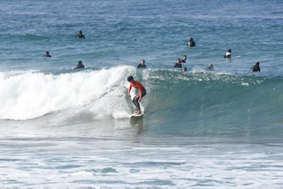 DSC_8028.JPG