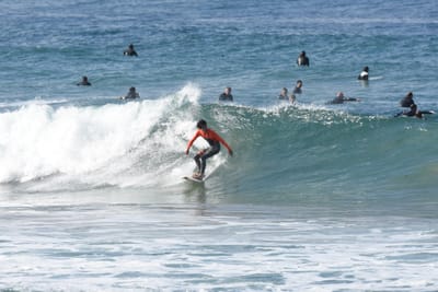 DSC_8029.JPG