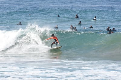 DSC_8032.JPG