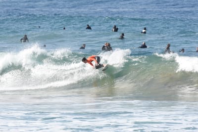 DSC_8036.JPG