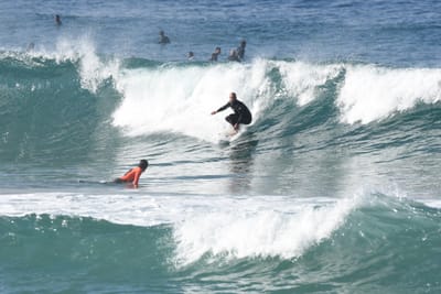 DSC_8043.JPG