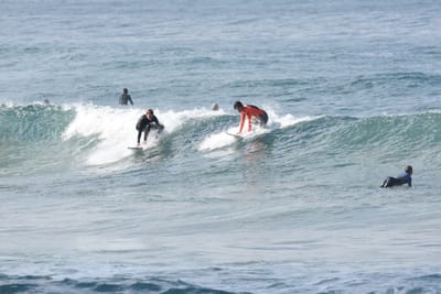 DSC_8047.JPG
